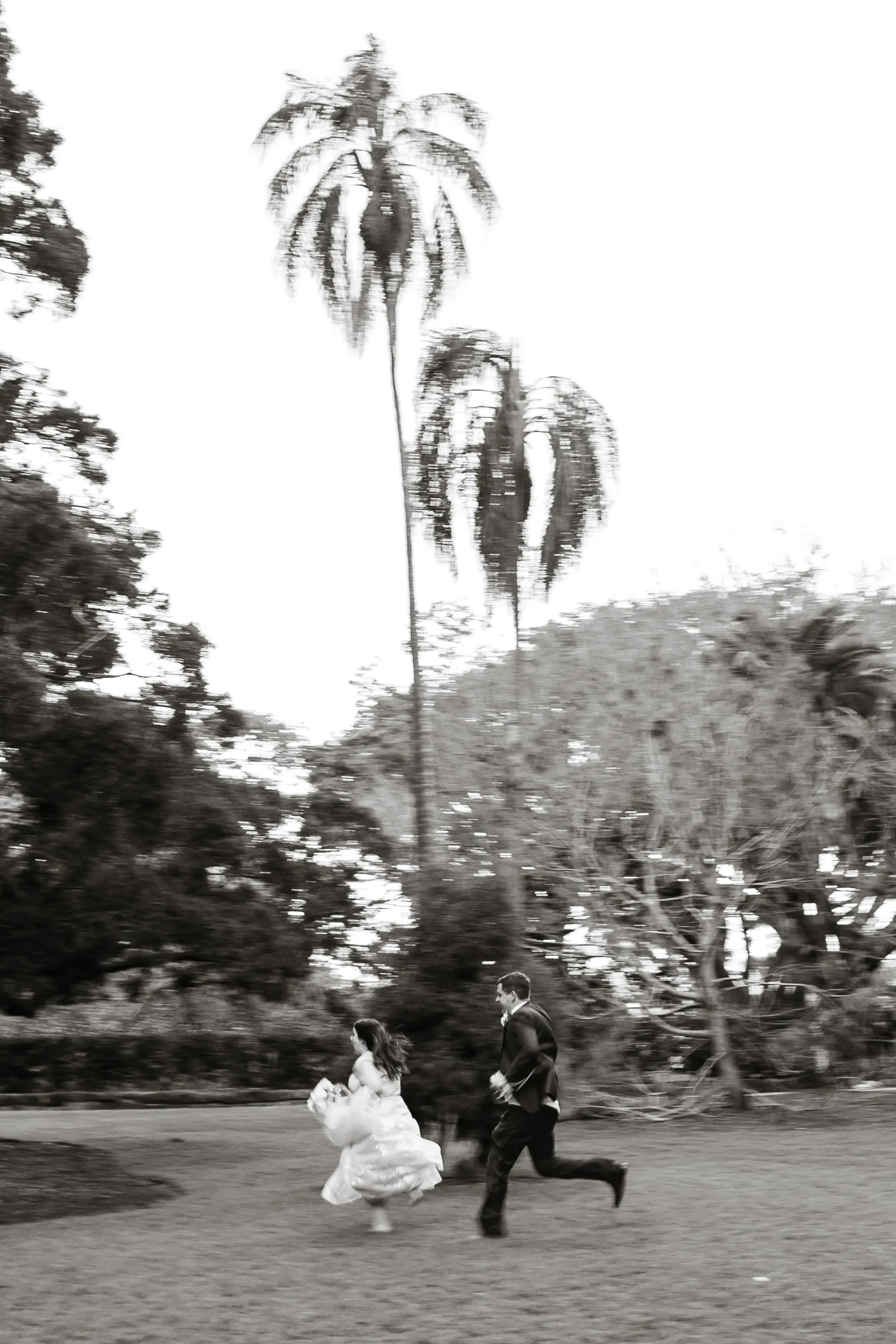 Carlie and Iain artistic black and white wedding photo running together across field with palm trees